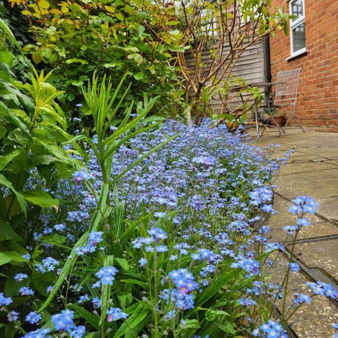 Cheerful, Cosy, One Bedroom Home With Patio And Parking Newbury  Exterior foto